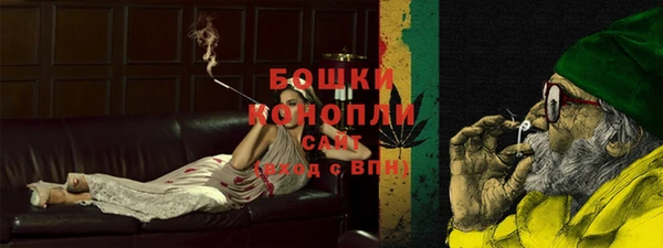 стаф Елизово