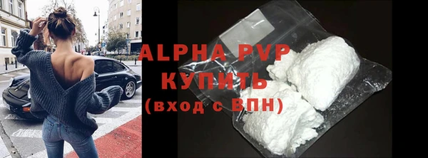 стаф Елизово
