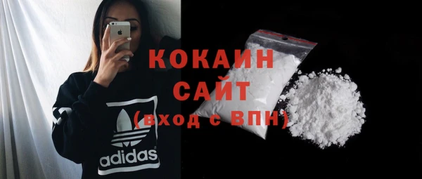 стаф Елизово