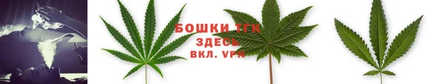 стаф Елизово