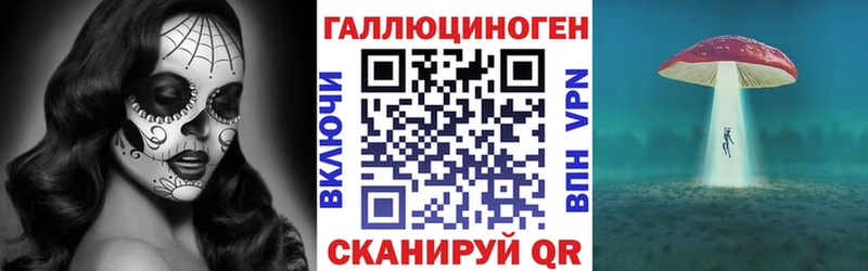 закладка  Ленинск-Кузнецкий  Галлюциногенные грибы Psilocybe 